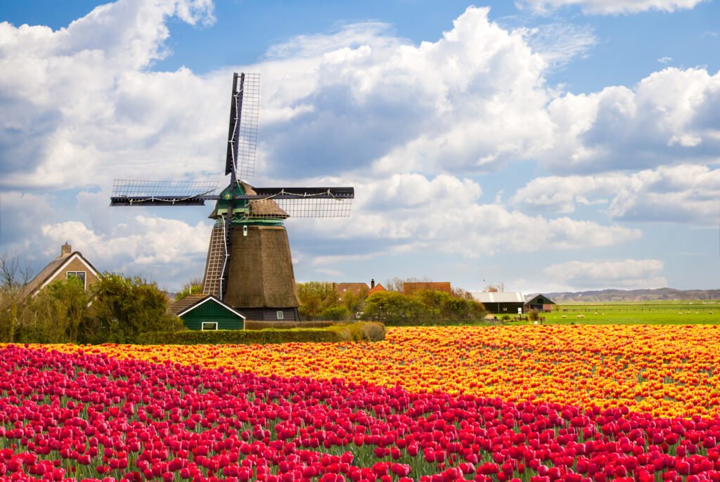Garden of Europe